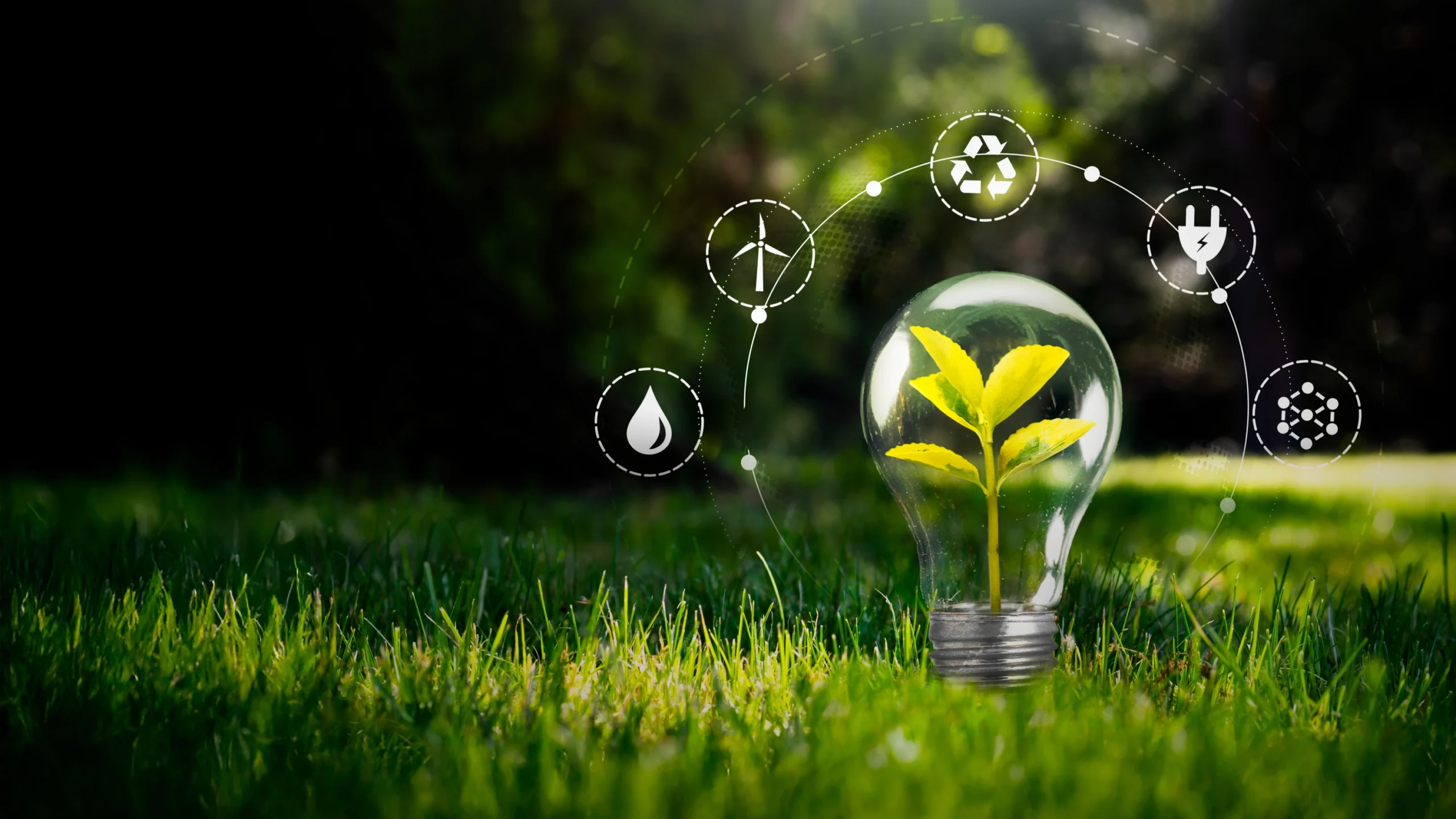 Sustainability at the Core